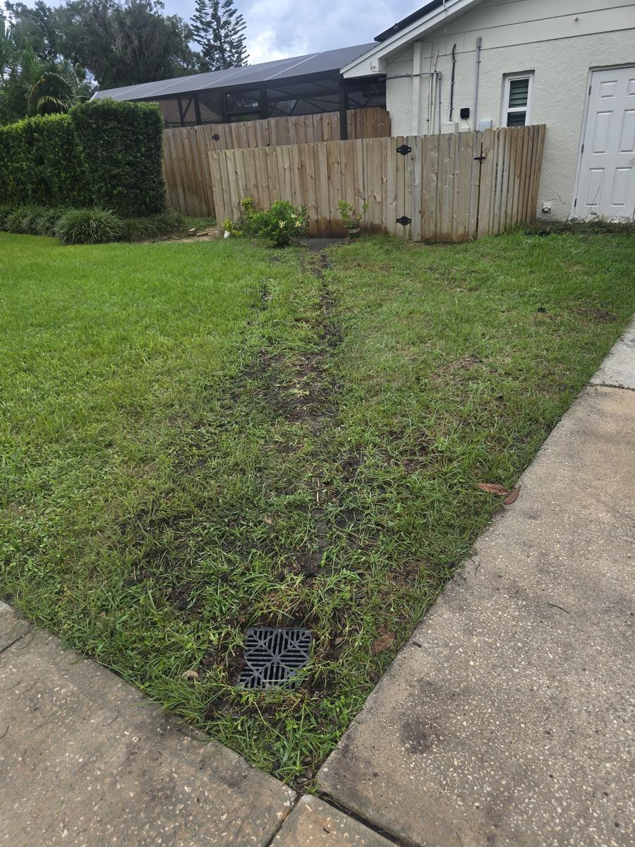 Yard drainage solution Florida